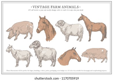 Vector farm animals isolated on white. Vector illustration art. Hand drawn animals.