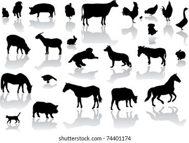 vector farm animals with reflection