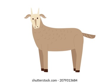 Vector farm animals, rustic domestic goat. Agricultural animals in flat style isolated on white background. Childrens illustration
