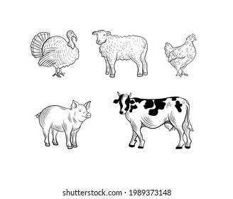 Vector farm animals set, engraving style illustrations isolated on white background, black lines, agricultural animals drawings.