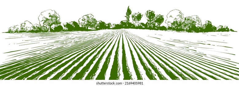 Vector farm field landscape. Pattern of plowed furrows in preparation for crops planting. Rows of soil, rural countryside perspective horizon view. Vintage realistic engraving sketch illustration.