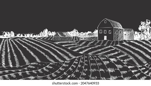 Vector Farm Field Sketch, Engraving Style, Black and White Background Template, Drawings on Blackboard, Retro Style.