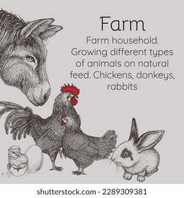 Vector farm illustration in engraving style. Rabbit, donkey, rooster, hen, chick