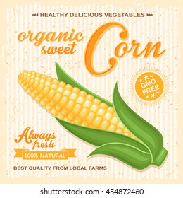 Vector farm poster with fresh cob of corn on retro background