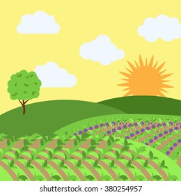 Vector Farm Themed Background