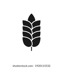 Vector farm wheat ears black icon template.