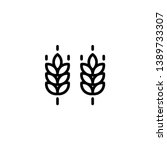 Vector farm wheat ears icon template. Line whole grain symbol illustration for organic eco business, agriculture, beer, bakery. Gluten free logo background