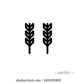 Vector farm wheat ears icon template. Line whole grain symbol illustration for organic eco business, agriculture, beer, bakery. Gluten free logo background