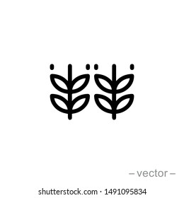 Vector farm wheat ears icon template. Line whole grain symbol illustration for organic eco business, agriculture, beer, bakery. Gluten free logo background