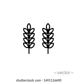 Vector farm wheat ears icon template. Line whole grain symbol illustration for organic eco business, agriculture, beer, bakery. Gluten free logo background