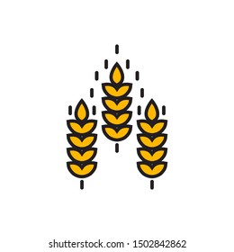 Vector farm wheat ears icon template. vector illustration