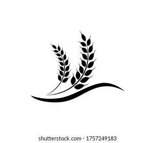 Vector farm wheat ears icon template. Line whole grain symbol illustration. icon wheat.