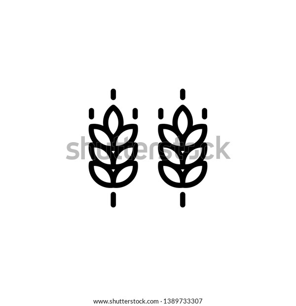 Vector farm wheat ears icon template.\
Line whole grain symbol illustration for organic eco business,\
agriculture, beer, bakery. Gluten free logo\
background