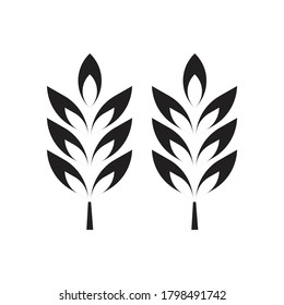 Vector farm wheat icon design isolated on white background