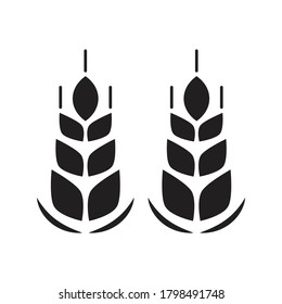 Vector farm wheat icon design isolated on white background