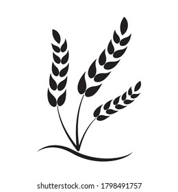 Vector farm wheat icon design isolated on white background