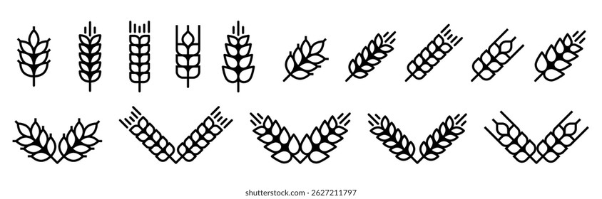Vector farm wheat icon set. Outline barley spike or corn ear symbol collection. Line grain logo template