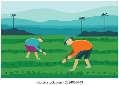 vector de agricultores que trabajan en granjas de arroz ilustración plana
