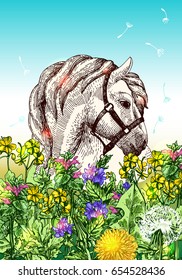 Vector fashion boho chick style horse with flowers. Hand drawn beautiful illustration.