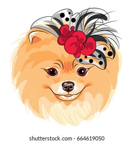 Vector fashion cute dog Pomeranian in the red and black hat