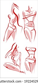 
VECTOR fashion Set and