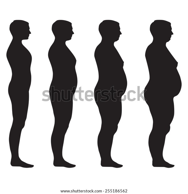 Vector Fat Body Weight Loss Overweight Stock Vector (Royalty Free ...