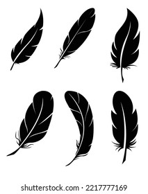 ilustración de concepto de siluetas negras de plumas Feather Illustration Set