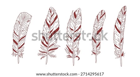 Vector feather boho drawing with intricate line work and boho style. Artistic sketch featuring elegant plume design, ideal for vintage-inspired creative project.