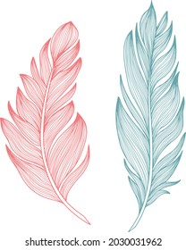 Vector feather collection. Hand drawn isolated on white background vector set. Vintage art illustration