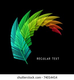 vector feather Design