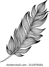 Vector feather. Hand drawn. Vintage art illustration