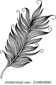 Vector feather. Hand drawn. Vintage art illustration