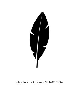 Vector feather icon on isolated white background.