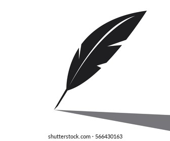 Vector feather icon on white background