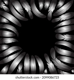 Vector Feather Silhouette Collection Isolated on Black Background.