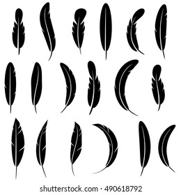 Vector Feather Silhouette Collection Isolated on White Background