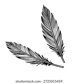 Plumas de Vector en estilo de línea gráfica. Ilustración lineal de Plume para diseños boho, símbolos espirituales, tatuajes, logotipos, carteles. Aguafuerte de contorno pintado por tintas negras sobre fondo aislado.