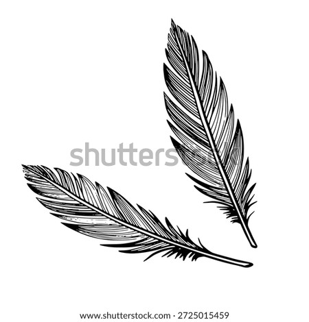 Vector feathers in graphic line style. Linear illustration of Plume for boho designs, spiritual symbols, tattoos, logos, posters. Outline etching painted by black inks on isolated background.