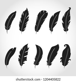 Vector feathers icon,sign,symbol, set,collection isolated on a gray background.Bird feathers.Black silhouette fluffy feathers over gray