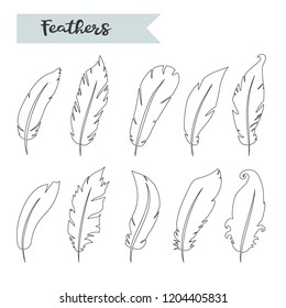 Vector feathers icon,sign,symbol, set,collection isolated on a white  background.Bird feathers.Black silhouette fluffy feathers over white