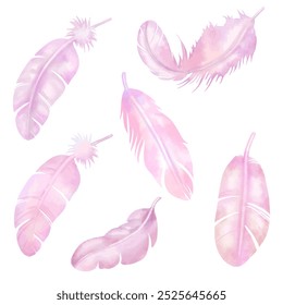 Vector feather's painted watercolor stye. isolated on white background. for art work, backdrop, pattern and so on.