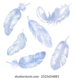 Vector feather's painted watercolor stye. isolated on white background. for art work, backdrop, pattern and so on.