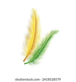 vector feathers realistic set on white background.