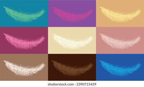 Vector feathers set colorful and elegant