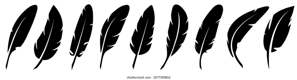 Vector Feathers Set. Elements for design isolated on white.