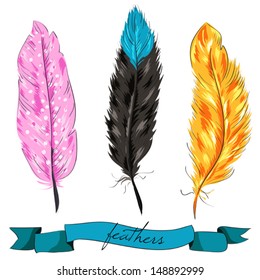 Vector feathers set illustration