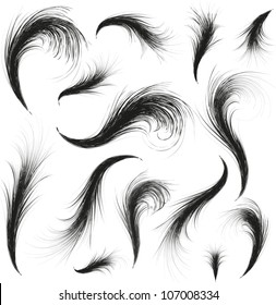 vector feathers silhouettes set for design