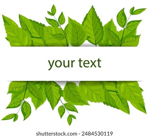 A vector featuring a square white frame embellished with vibrant green leaves. lush foliage surrounds the frame, creating a fresh, natural, and eco-friendly theme suitable. Mockup, template