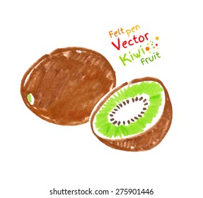 Vector felt pen child drawing of kiwi fruit.