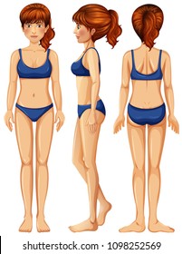 Un vector de la ilustración del cuerpo femenino